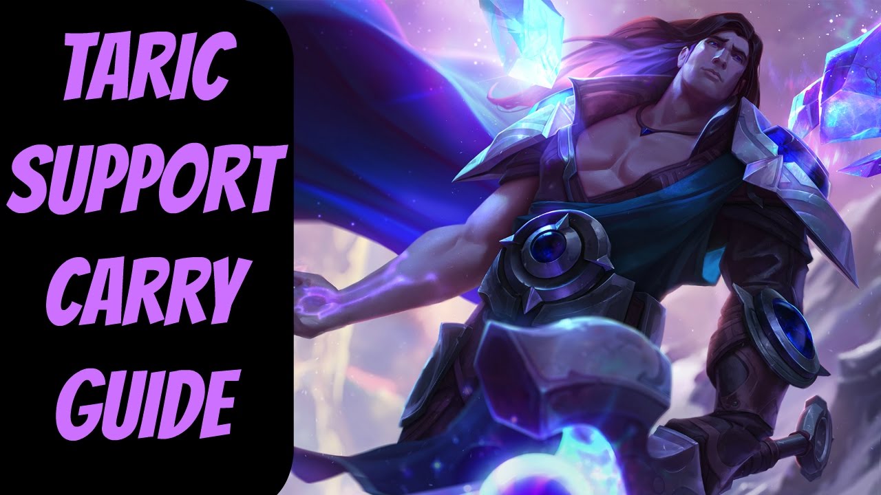 taric support guide