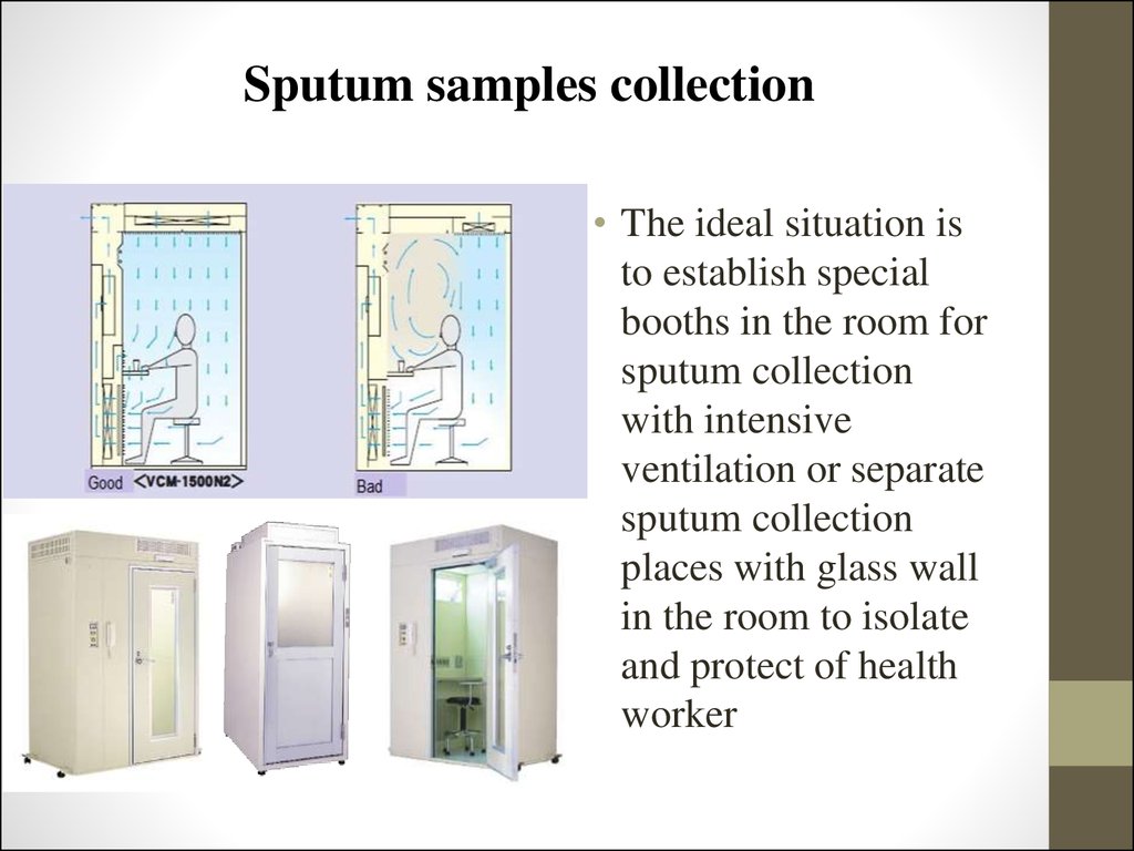 sputum sample for tb