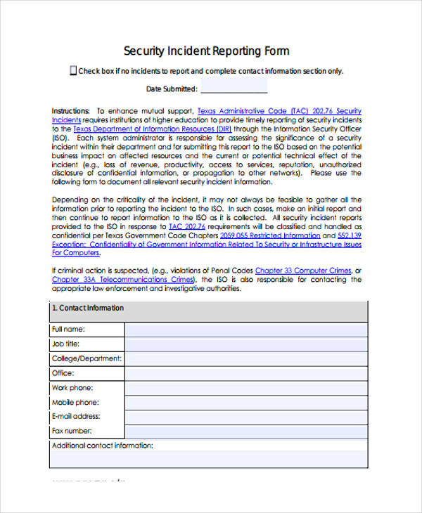 security report pdf