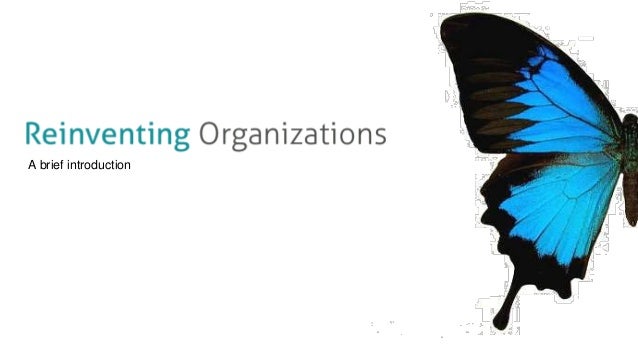 reinventing organizations illustrated version pdf